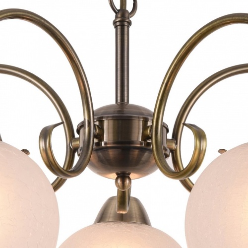 Подвесная люстра Arte Lamp Margo A9317LM-5AB в Дудинке фото 2