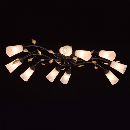 Потолочная люстра MW-Light Восторг 15 242015410 в Нижнем Новгороде фото 13