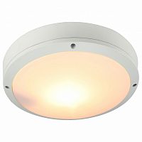 Накладной светильник Arte Lamp City A8154PF-2WH в Нижнем Новгороде
