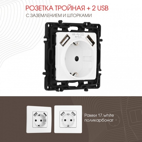 Розетка с заземлением и со шторкой и 2хUSB, без рамки Arte Milano am-217 217.47-1.white в Нижнем Новгороде фото 4