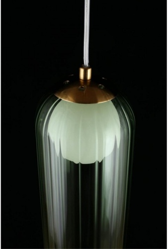 Подвесной светильник Aployt Arian APL.325.36.01 в Зеленограде фото 8