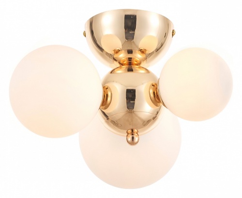 Потолочная люстра Rivoli Liviana Б0066413 в Нижнем Новгороде