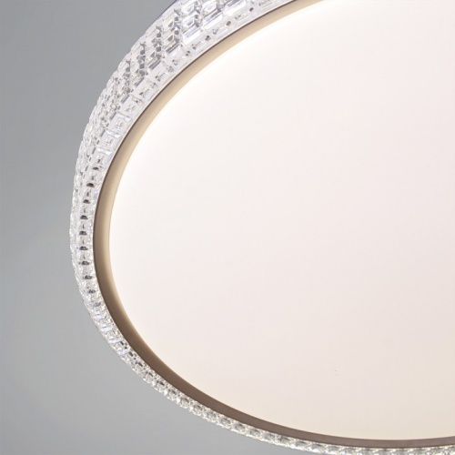 Накладной светильник  25616-0.5-500 GD в Нижнем Новгороде фото 3