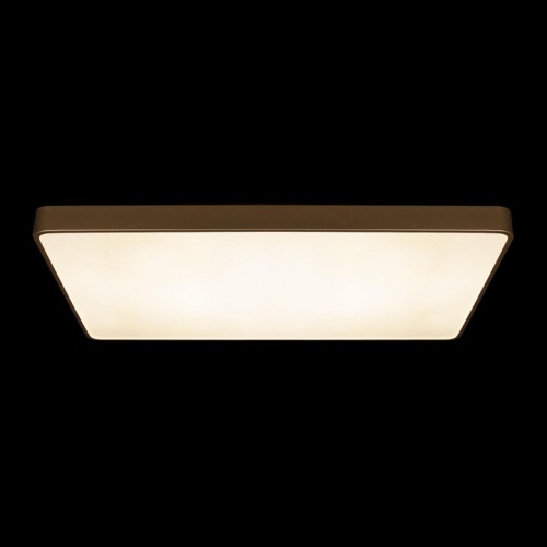 Накладной светильник Loft it Flims 10228/E в Нижнем Новгороде фото 4