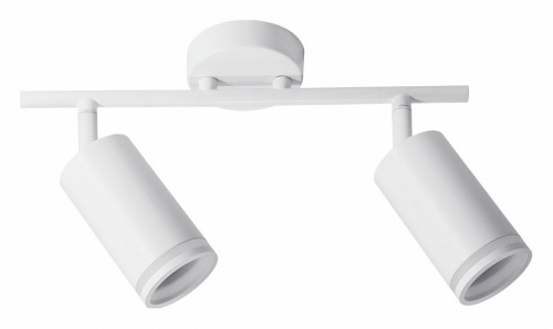 Спот Arte Lamp Imai A2365PL-2WH в Нижнем Новгороде