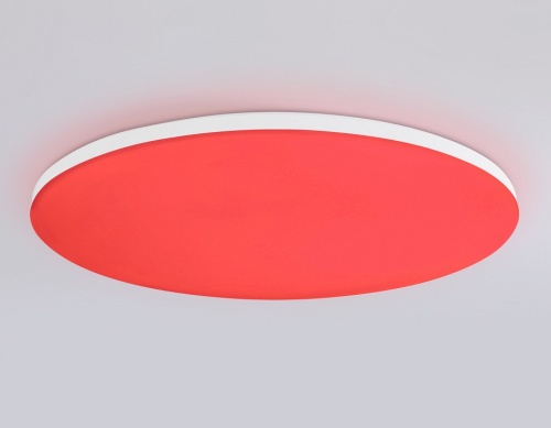 Накладной светильник Ambrella Light FZ FZ2003 в Нижнем Новгороде фото 14