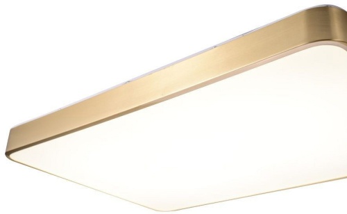 Накладной светильник Zortes Monna ZRS.1209.09 в Нижнем Новгороде фото 3