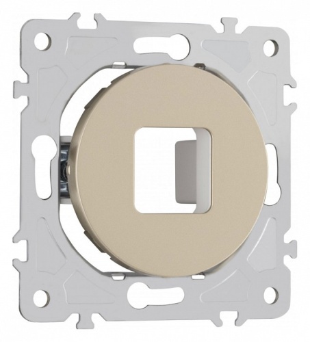 Розетка для вывод кабеля без рамки Arte Milano am-202 202.49-1.shampan в Нижнем Новгороде