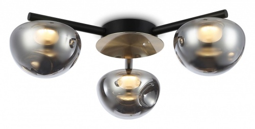 Потолочная люстра Ambrella Light LH LH12006 в Нижнем Новгороде