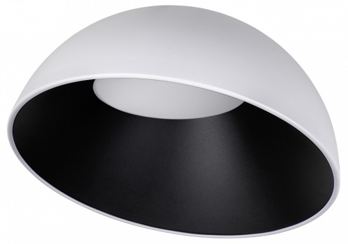 Накладной светильник Loft it Egg 10197/500 WB в Нижнем Новгороде