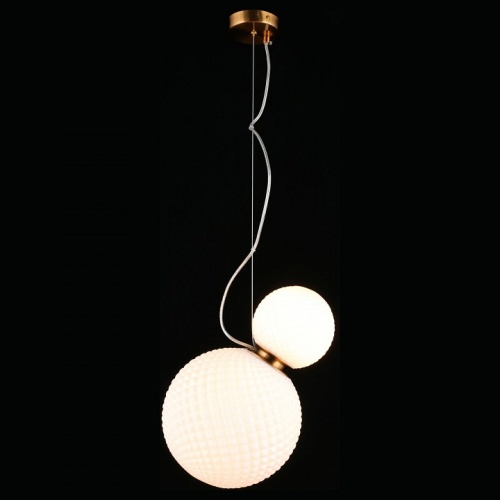 Подвесной светильник Aployt Patunia APL.301.06.02 в Нижнем Новгороде фото 5