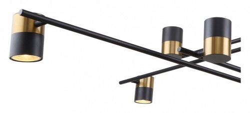 Люстра на штанге F-promo Chart 3092-10P в Нижнем Новгороде фото 3