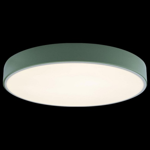 Накладной светильник Loft it Axel 1 10002/24 Green в Нижнем Новгороде фото 2