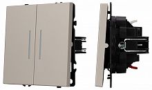 Выключатель двухклавишный с подсветкой без рамки Arlight SWT-NOBE 059417 в Нижнем Новгороде