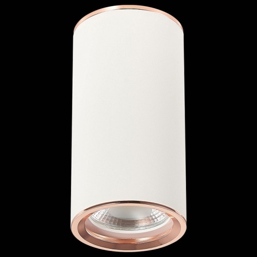 Накладной светильник ST-Luce Chomus ST111.527.01 в Нижнем Новгороде фото 4