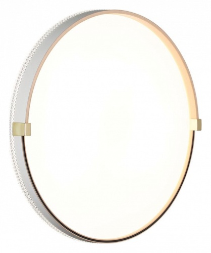 Накладной светильник Sonex Olidi White 7646/DL в Нижнем Новгороде фото 5