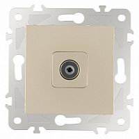 ТВ-розетка без рамки Arte Milano am-203 203.43-1.shampan в Нижнем Новгороде