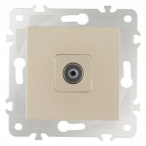 ТВ-розетка без рамки Arte Milano am-203 203.43-1.shampan в Нижнем Новгороде