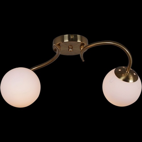 Светильник на штанге 81724-0.3-02 в Нижнем Новгороде фото 5