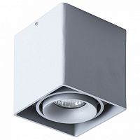 Накладной светильник Arte Lamp Pictor A5654PL-1GY в Нижнем Новгороде