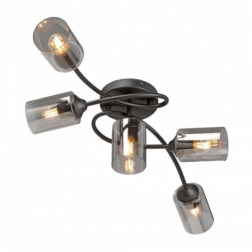 Потолочная люстра Vitaluce V2048 V2048-1/5PL в Нижнем Новгороде фото 4