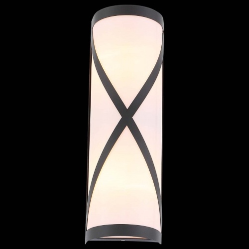 Накладной светильник ST-Luce Agio SL076.411.01 в Малой Вишере фото 4