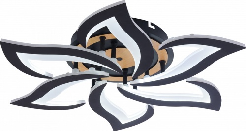 Люстра на штанге Rivoli Cassandra 6194-733 в Нижнем Новгороде фото 3