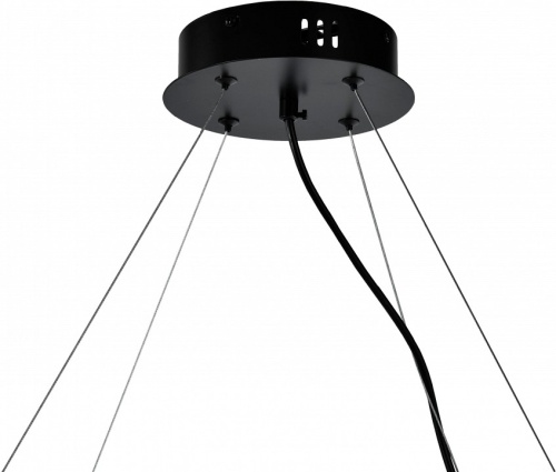 Подвесная люстра Zortes Rony ZRS.1209.08 в Нижнем Новгороде фото 2