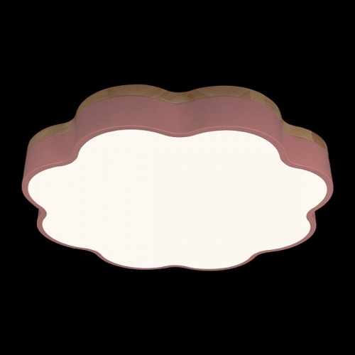 Накладной светильник Loft it Axel 10225/36 Pink в Нижнем Новгороде фото 5