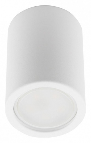 Накладной светильник Fametto Sotto UL-00008848 в Нижнем Новгороде