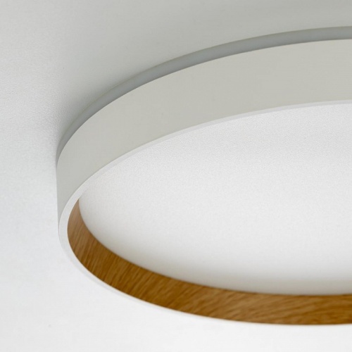 Накладной светильник Citilux ETALON CL750320R в Нижнем Новгороде фото 2