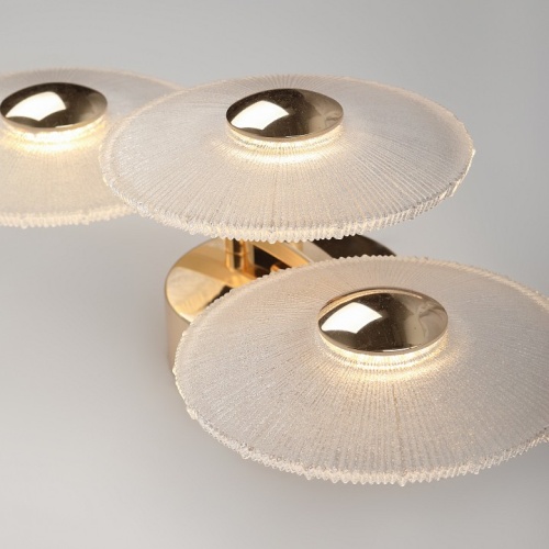 Накладной светильник Rivoli Helena Б0061946 в Нижнем Новгороде фото 8