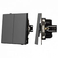 Выключатель проходной двухклавишный без рамки Arlight SWT 054555 в Нижнем Новгороде