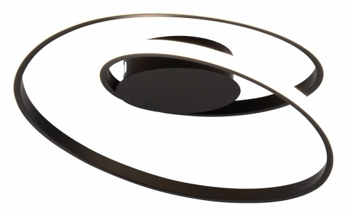 Накладной светильник Rivoli Nelly Б0062232 в Нижнем Новгороде фото 3