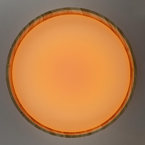 Накладной светильник Citilux ENZO CL753452G в Тюмени фото 5