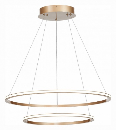 Подвесной светильник ST-Luce ST604 OUT ST604.243.56 в Нижнем Новгороде фото 2