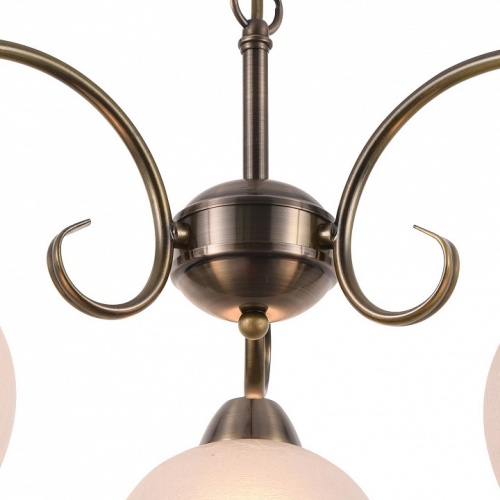 Подвесная люстра Arte Lamp Margo A9317LM-3AB в Нижнем Новгороде фото 2