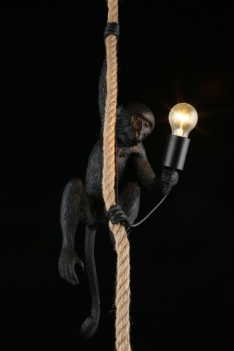 Подвесной светильник Aployt Magali APL.309.16.01 в Нижнем Новгороде фото 7