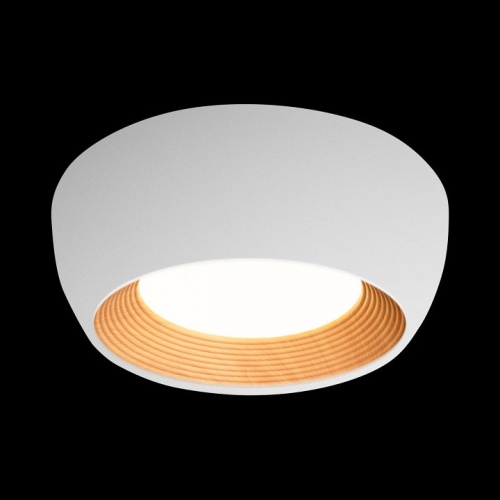 Накладной светильник Loft it Folk 10255/350 White в Нижнем Новгороде фото 6