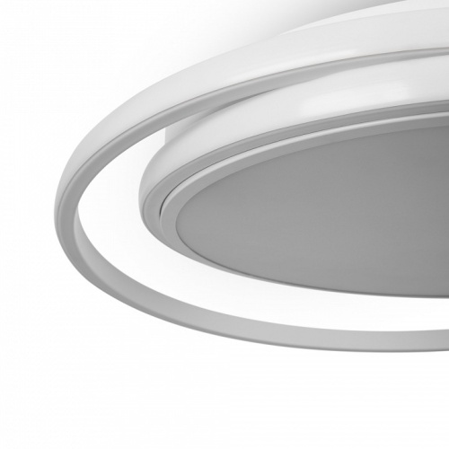 Накладной светильник Freya  FR10032CL-L98W в Нижнем Новгороде фото 4