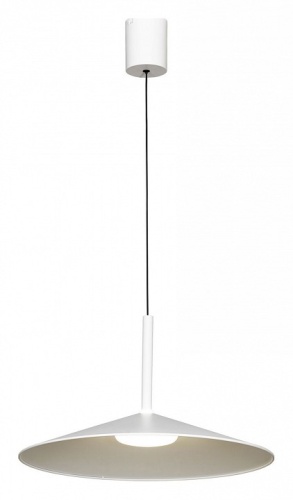 Подвесной светильник Lussole REFUGIO LSP-7431 в Нижнем Новгороде фото 7