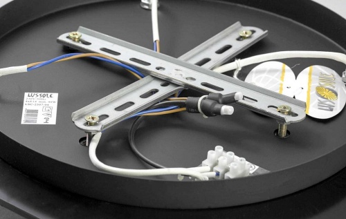 Накладной светильник Lussole Lente GRLSC-2507-04 в Нижнем Новгороде фото 3