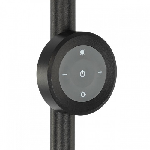 Торшер Citilux LOONG CL810031 в Нижнем Новгороде фото 7