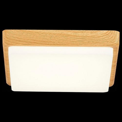 Накладной светильник EVOLUCE Taddio SLE200202-01 в Нижнем Новгороде фото 7