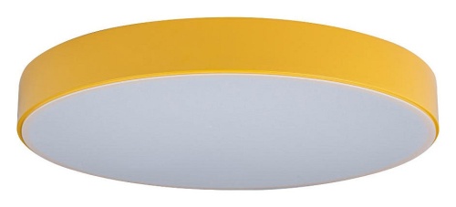 Накладной светильник Loft it Axel 1 10002/24 Yellow в Ртищево