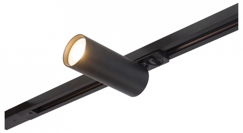 Светильник на штанге Denkirs DK620 DK6202-BK в Нижнем Новгороде фото 9