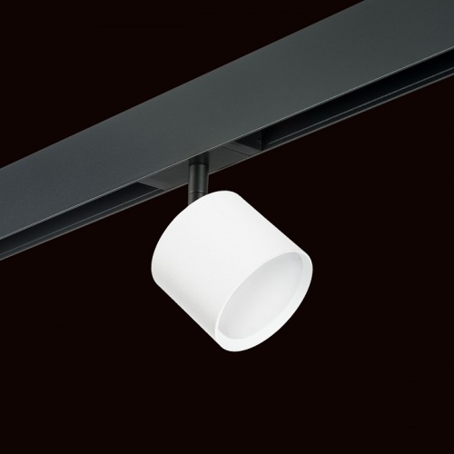 Светильник на штанге Lightstar Rullo PRO3486 в Нижнем Новгороде фото 4