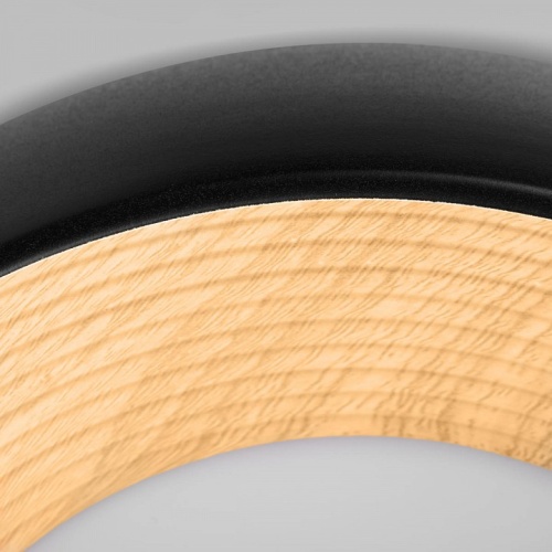 Накладной светильник Loft it Folk 10255/350 Black в Нижнем Новгороде фото 3