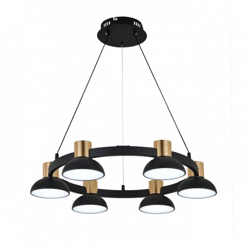 Подвесная люстра Indigo Traforo 11059/6P Black в Нижнем Новгороде фото 5