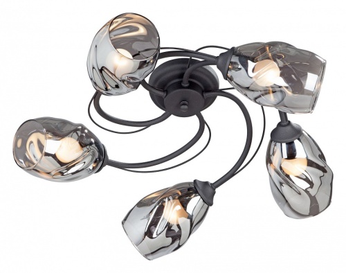 Потолочная люстра Vitaluce  V4937-1/5PL в Нижнем Новгороде